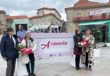 La camelia, protagonista de una exposición itinerante en A Guarda