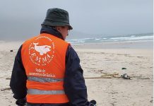 Más de 3.500 aves marinas varadas en Galicia tras el paso de los temporales