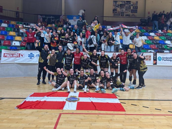 elche mecalia EHF European Cup