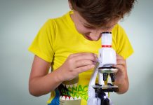 AMEI Tui impulsa un proyecto para fomentar referentes femeninos en ciencia desde la infancia