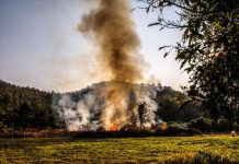 La Xunta suspende temporalmente las quemas agrícolas y forestales de particulares