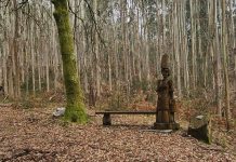 Mos impulsa la declaración del Roteiro dos Muíños da Salgueira como Espacio Natural de Interés Local