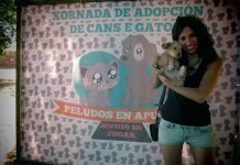 Tomiño celebra una jornada para impulsar la adopción de perros y gatos