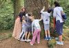 A Fada do Aloia propone a los colegios una aventura de educación ambiental entre bosques y senderos