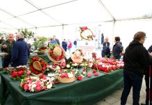 O Porriño se llena de color con la II Mostra da Camelia