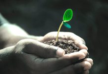 Un proyecto de humedales ecológicos busca llevar saneamiento a Couso