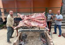 I Festa gastronómica do boi ó espeto en Prado, Morgadáns