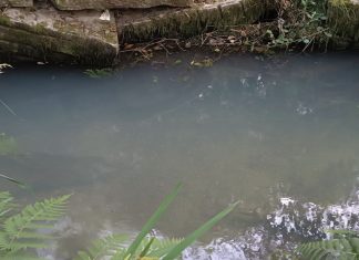 O BNG consegue que a contaminación do río Fonteliño chegue á Fiscalía de Medio Ambiente