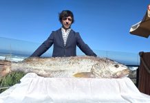Porto dos Barcos asombra con una espectacular corvina salvaje de 30 kilos