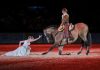 XXIII Romería del Caballo en Ribadelouro