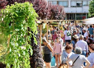 El viverismo gallego se da cita en Tomiño
