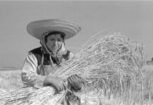 Lucenza acerca la figura del fotógrafo José Suárez con una conferencia en Nigrán