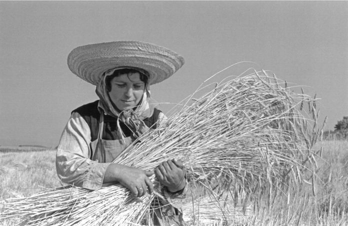 José Suárez fotorgafo