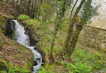 Mos da un nuevo paso para blindar ambientalmente el entorno del río Salgueira