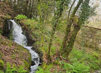Mos da un nuevo paso para blindar ambientalmente el entorno del río Salgueira