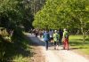 Vigo retoma este otoño el programa medioambiental «Camiño a Camiño»