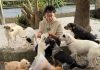 La Isla de Tali rescata a cerca de 20 animales en un caso de síndrome de Noé en Vigo
