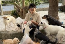 La Isla de Tali rescata a cerca de 20 animales en un caso de síndrome de Noé en Vigo