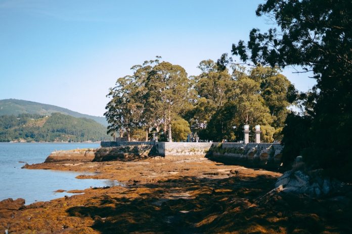 Illa de San Simón