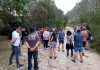 A Guarda se sitúa a la vanguardia del debate sobre el control de la acacia