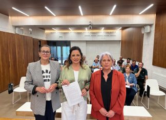 Tomiño pide a la Xunta una respuesta conjunta ante la problemática de las moscas