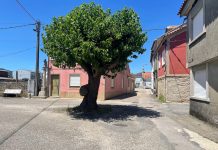 O Rosal destina casi 455.000 euros a la humanización de San Gregorio