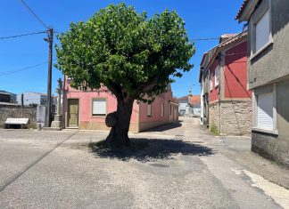O Rosal destina casi 455.000 euros a la humanización de San Gregorio