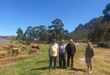Medio Rural estudia con los comuneros de Vincios la creación de un pastizal para impulsar la ganadería extensiva