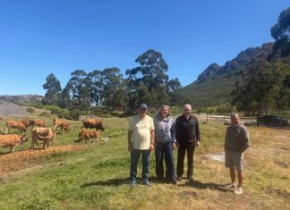 Medio Rural estudia con los comuneros de Vincios la creación de un pastizal para impulsar la ganadería extensiva
