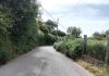 Manifesto Miñor reclama un plan urgente de limpieza y desbroce de las carreteras municipales en Gondomar