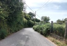 Manifesto Miñor reclama un plan urgente de limpieza y desbroce de las carreteras municipales en Gondomar