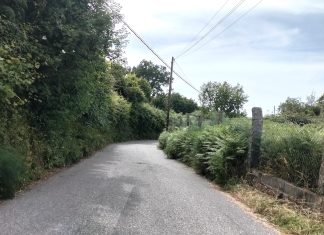 Manifesto Miñor reclama un plan urgente de limpieza y desbroce de las carreteras municipales en Gondomar