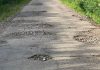 El PP de Tomiño acusa al gobierno local de «abandonar as parroquias» tras rechazar un plan de mejora de infraestructuras