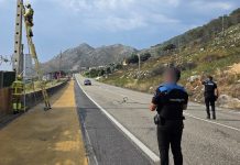 El GES de A Guarda retira unos cables eléctricos caídos sobre la carretera en Oia