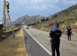 El GES de A Guarda retira unos cables eléctricos caídos sobre la carretera en Oia
