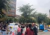 O Porriño destina más de 23.800 euros al control y bienestar de las colonias felinas