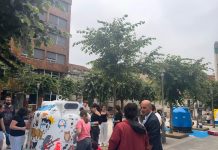 O Porriño destina más de 23.800 euros al control y bienestar de las colonias felinas