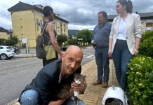 O Porriño condena el ataque con un perdigón a una gata y busca a los responsables