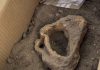 La campaña arqueológica de As Torres descubre unos estribos de caballo que arrojan nueva luz sobre su pasado medieval