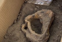 La campaña arqueológica de As Torres descubre unos estribos de caballo que arrojan nueva luz sobre su pasado medieval