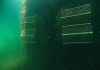 Mares Circulares y Ocean Ecostructures impulsan la renaturalización del Monte Real Club de Yates