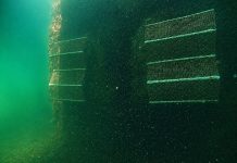 Mares Circulares y Ocean Ecostructures impulsan la renaturalización del Monte Real Club de Yates