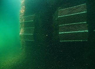 Mares Circulares y Ocean Ecostructures impulsan la renaturalización del Monte Real Club de Yates