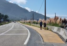 Lanzan una campaña para frenar la expansión de la hierba de la Pampa en el Camino de Santiago