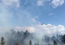 Controlado un incendio forestal declarado en Pontellas, O Porriño