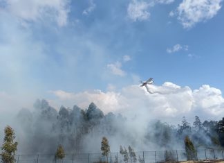 Controlado un incendio forestal declarado en Pontellas, O Porriño