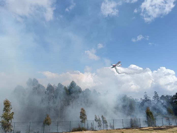 inncedio forestal pontellas