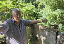Un vecino de Nigrán pide la limpieza de una finca abandonada: “Vivimos con miedo a un incendio”