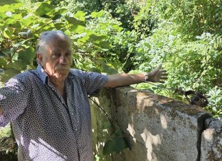Un vecino de Nigrán pide la limpieza de una finca abandonada: “Vivimos con miedo a un incendio”