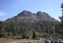 El gobierno de Gondomar rechaza la propuesta de un plan municipal para apoyar la reforestación de las franjas de seguridad